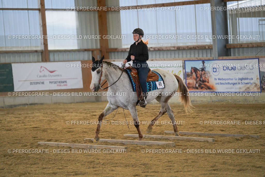 DSC09084 | Pferdegrafie