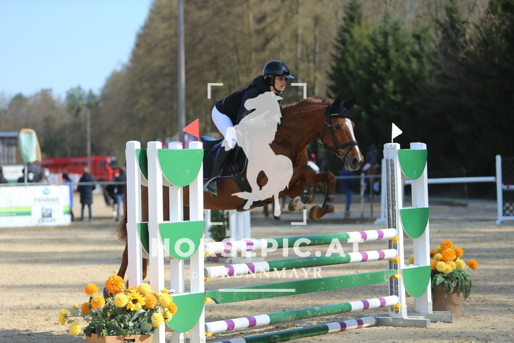 DL2Q3681 | Willkommen bei Brunnmayr - Design & Fotografie – Ihrem Spezialisten für Reitturniere und Pferdeveranstaltungen in Oberösterreich, Salzburg und Bayern! Seit über 17 Jahren sind wir leidenschaftlich dabei.