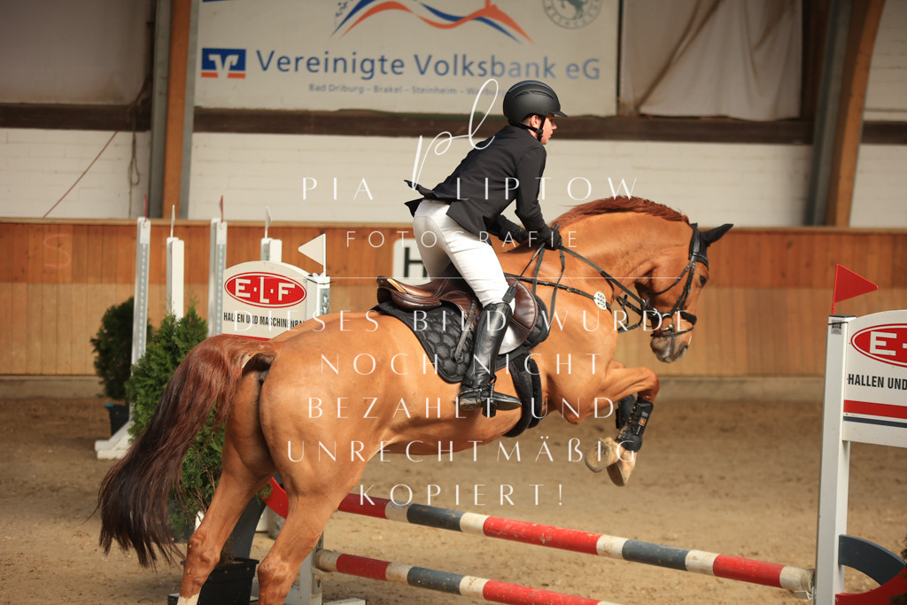 IMGT9118 | pl-fotografie