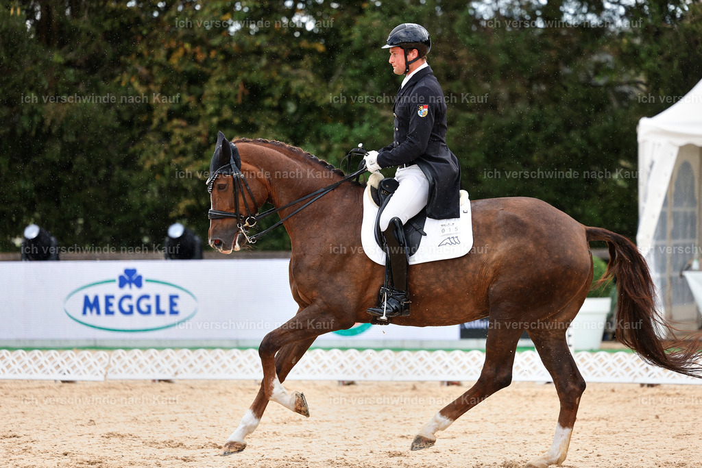 10-015-ST.GEORG SPECIAL -StoibPH-3217 | working equitationturnier fotograf videograf stoibphotography marixx film working equitation deutschland reitsport turnierfotografie eventfotografie equestrian events