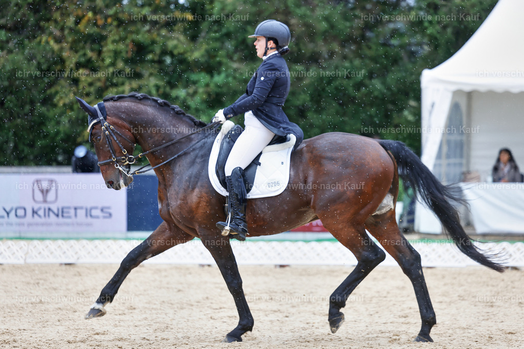 8_1-206-Klasse S_  -StoibPH-3917 | working equitationturnier fotograf videograf stoibphotography marixx film working equitation deutschland reitsport turnierfotografie eventfotografie equestrian events