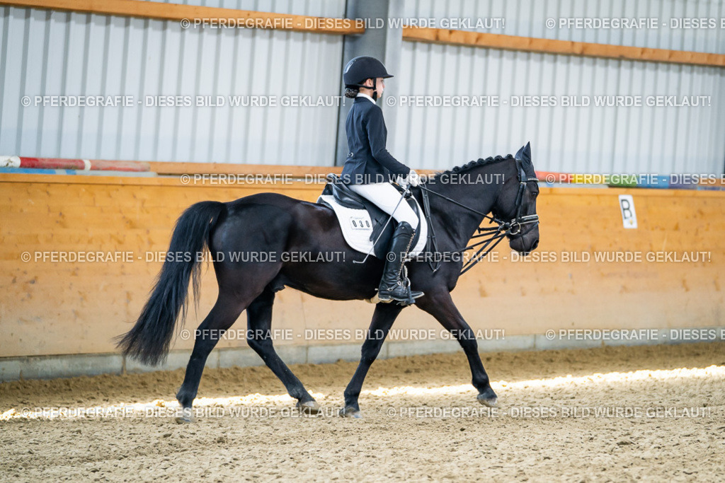 DSC02438 | Pferdegrafie