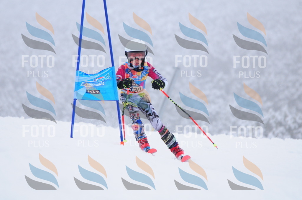 C3393 | holidayphoto