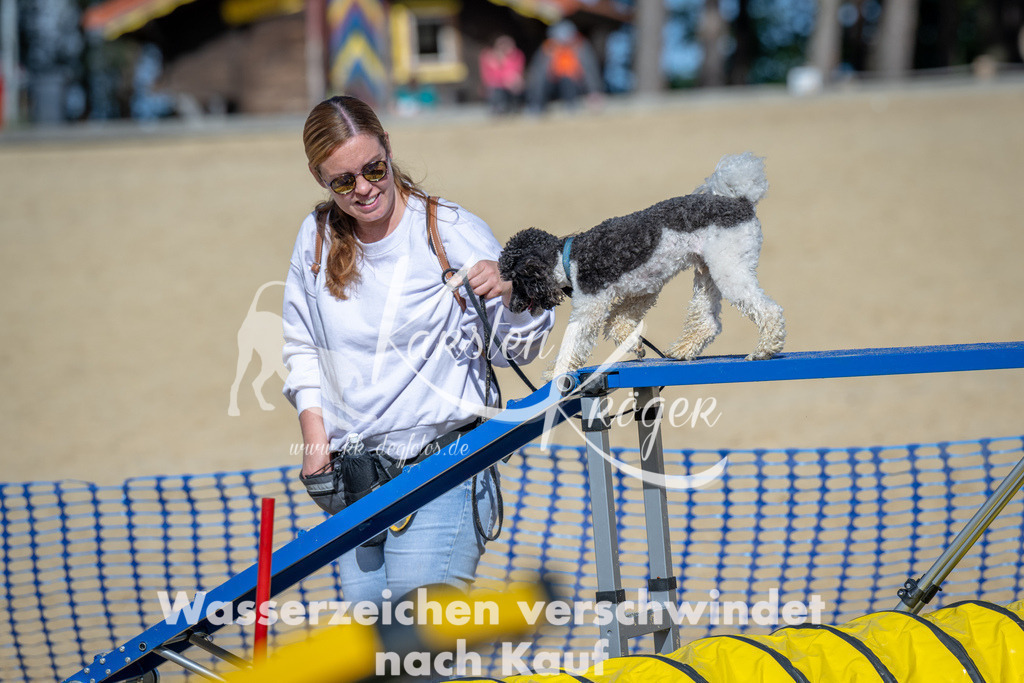 1331_ZZ90253 | kk-dogfotos