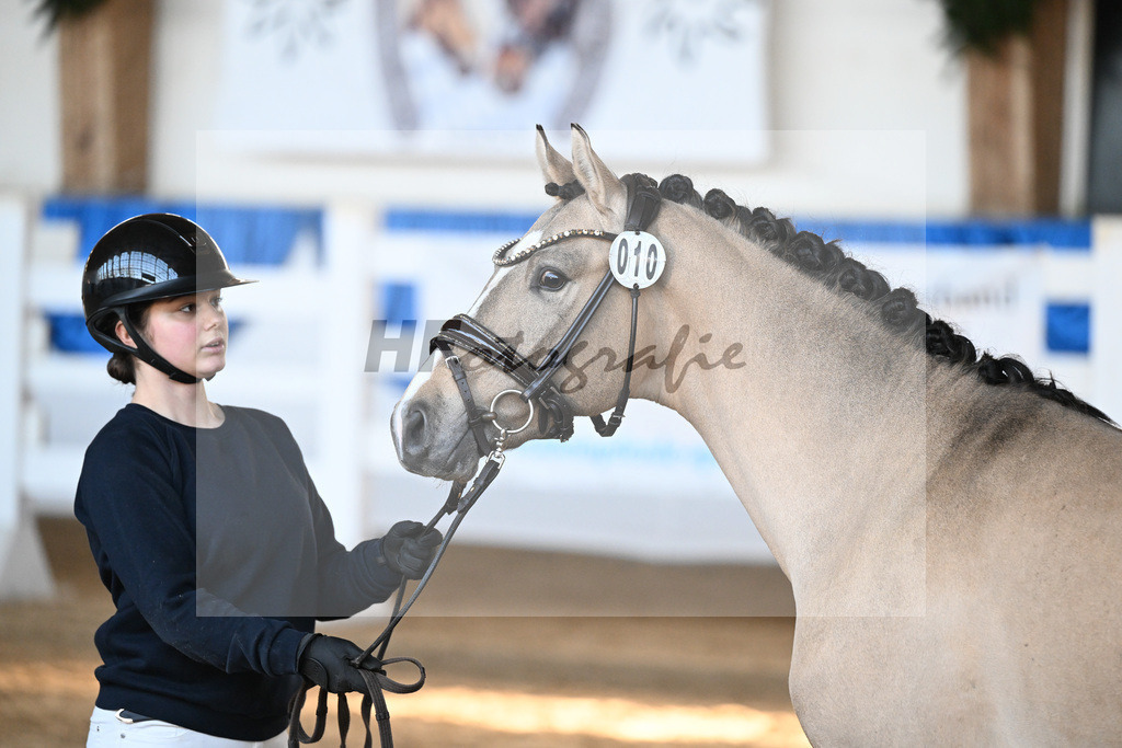 Kat-Nr. 10 Gentleman M v. Gold Garant_Meyer_9260227 | hf-fotografie - Realisiert mit Pictrs.com