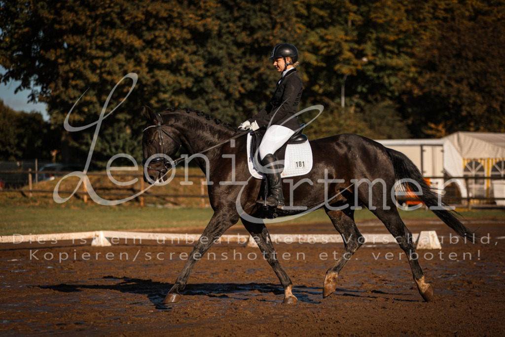 13.SoDrA100210 | Leoni Ertmer Photography - Realisiert mit Pictrs.com