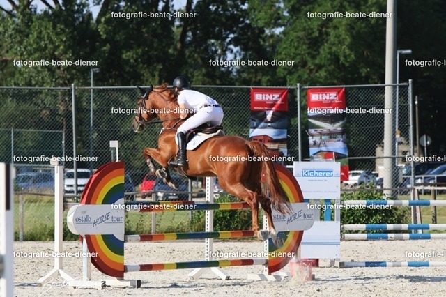 OHT 2022 Röhlingen (152) | Fotografie, Tiere, Hunde, Katzen, Pferde, Sportfotografie, Fotosession, Tierfotografie, Turnierfotografie, Fotografin, Fotograf - Realisiert mit Pictrs.com