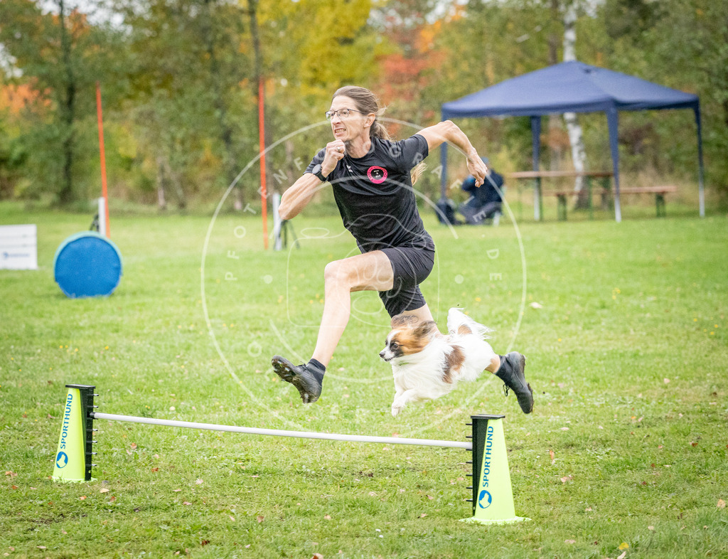 Pfotenfotografie_DV3A0761 | Hundefotografie, Tierfotograf, Pfotenfotografie, Fotoshooting Hund, Hunde Portrait, Hundesport, Hundeportraits, Heideshooting, Hunde, Sportfotograf, Hundefotograf, Turnierhundsport, THS,  - Realisiert mit Pictrs.com