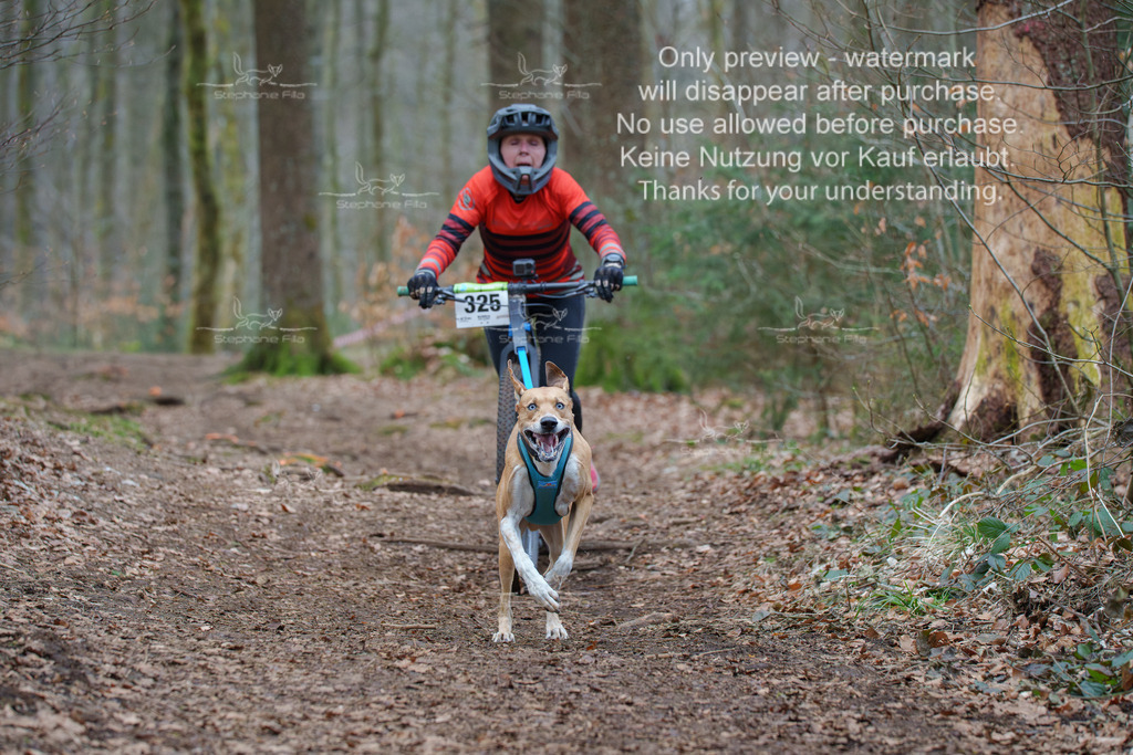 Scooter_So-54 | stephaniefillaphotographie - Realisiert mit Pictrs.com