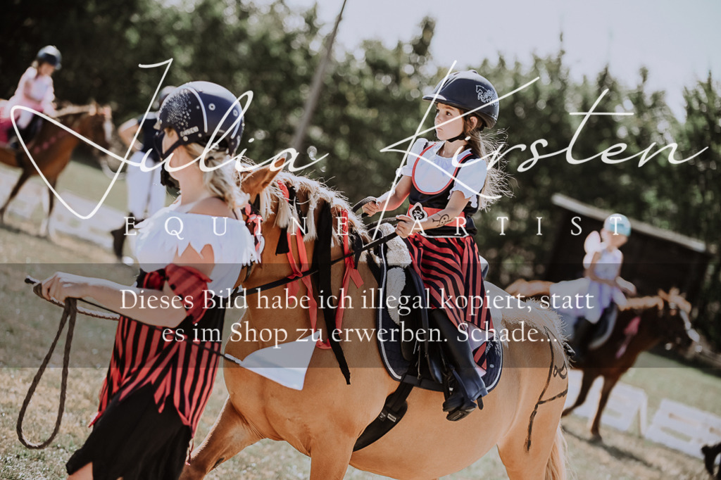 DSC_9039 | Pferde- und Turnierfotografie in Westsachsen. Pferdeportraits, Auftragszeichnungen und intuitive Kunst.
