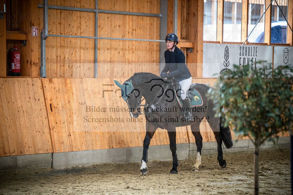 DOS_0739 | Entdecke hochwertige Reitturnierfotos von Foto Oger. Professionell, emotional und authentisch – jetzt Lieblingsmomente im Shop bestellen.Deutschlandweite Turnierfotografie. - Realisiert mit Pictrs.com
