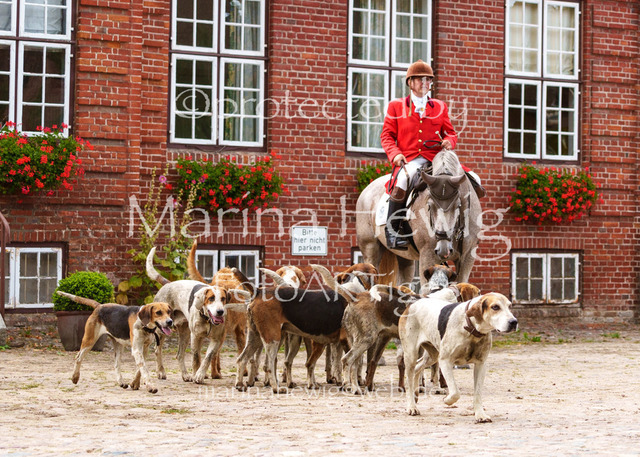 Jagd Knoop 26_MarinaHewigMCH02679 | Fotografie, FotoArt, PferdesportArt, Pferdesportfotografie, Landschaftsfotografie, Reisefotografie, Reise, Pferde - Realisiert mit Pictrs.com