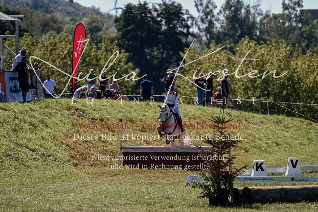 DSC_2037 | Pferde- und Turnierfotografie in Westsachsen. Pferdeportraits, Auftragszeichnungen und intuitive Kunst.