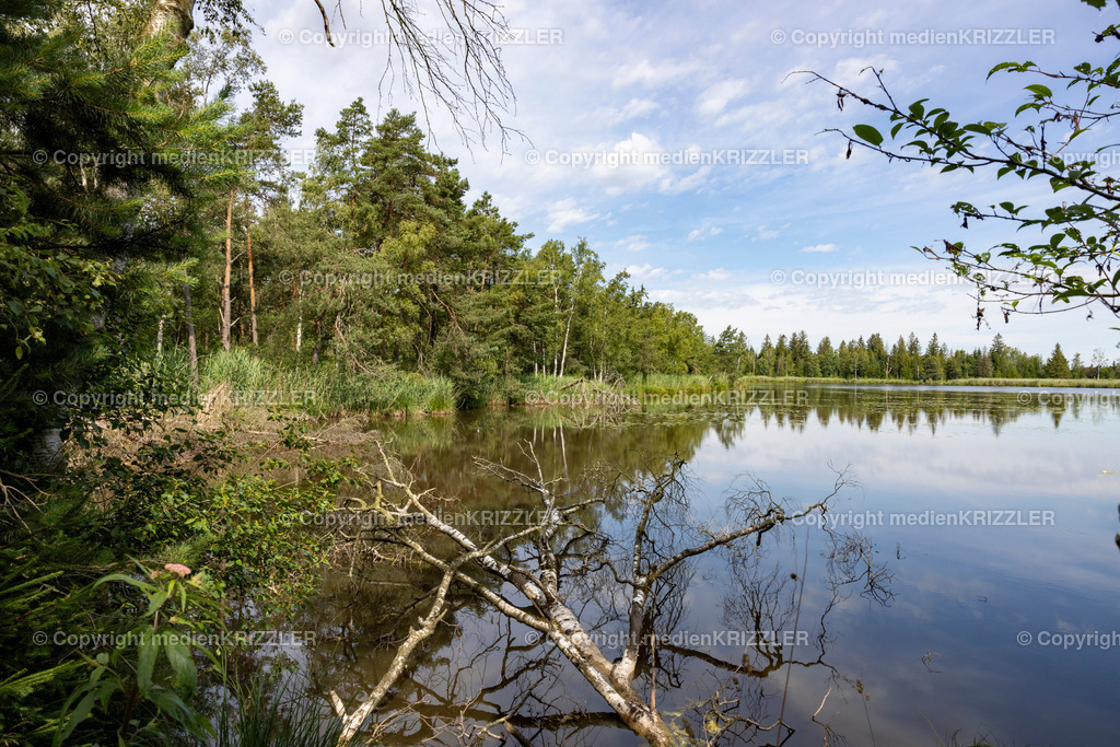 _J3A5399 | medienkrizzler - Realisiert mit Pictrs.com