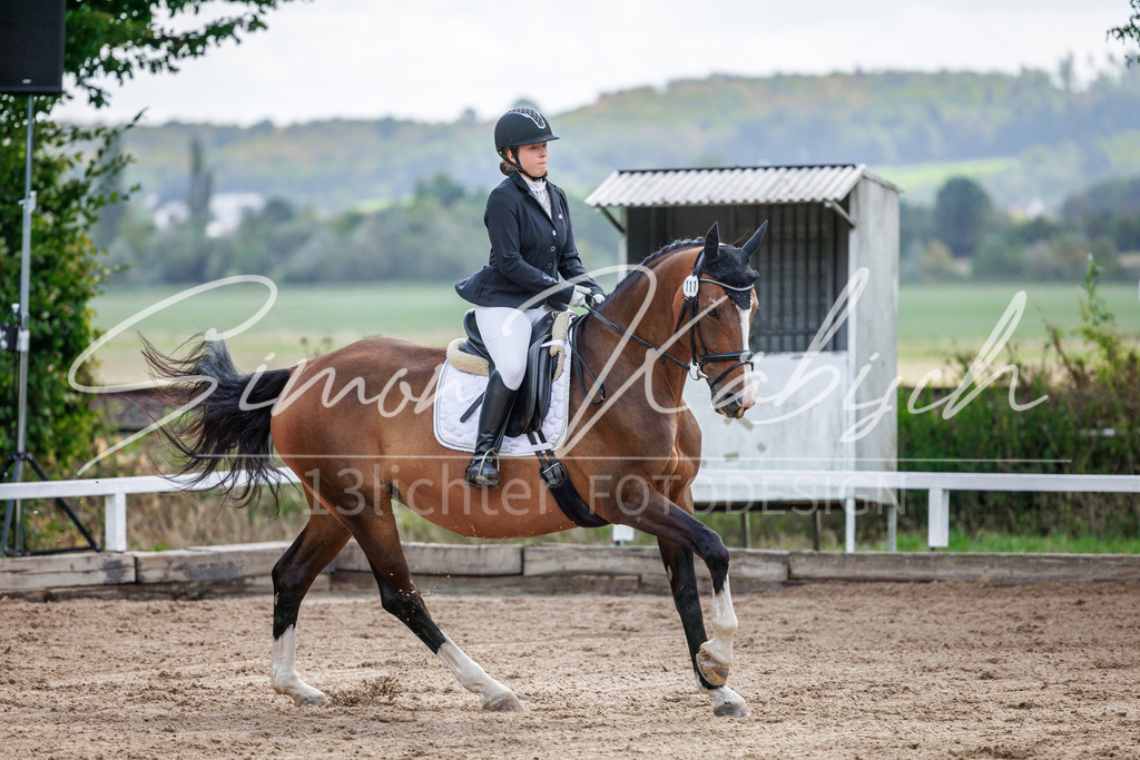 20260905-_3LI7675 | Tierfotografie Pferde, Hunde, Katzen, Haustiere.
Turnierfotografie Reitturniere, Reiten, Springreiten, Dressur in Hanau, dem Main-Kinzig-Kreis und dem Rhein-Main- Gebiet um Frankfurt