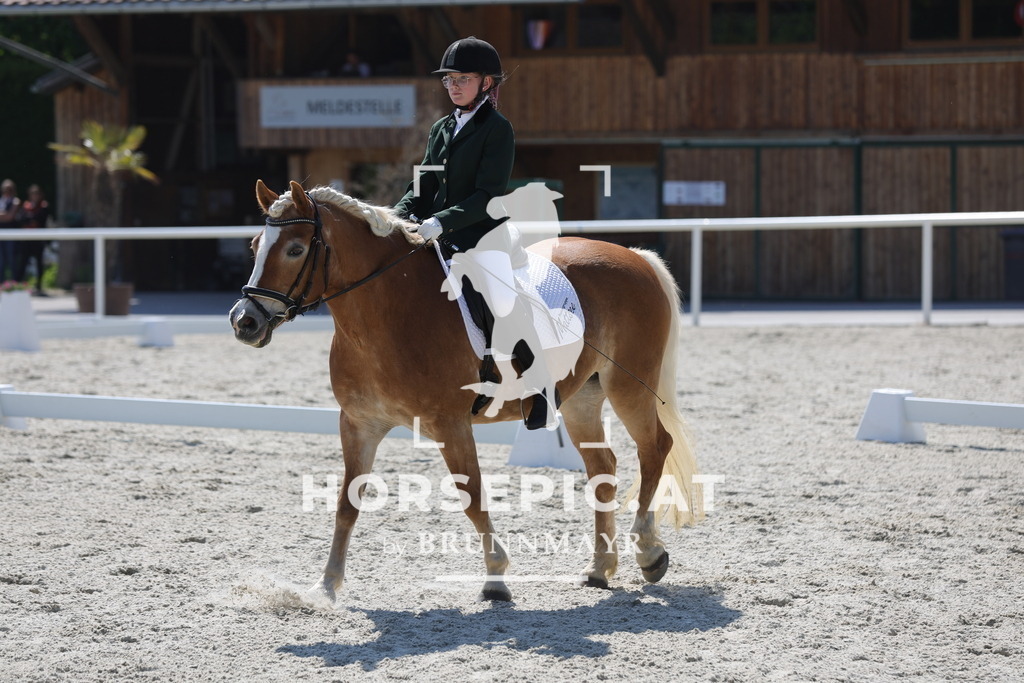 0P6A2465 | Willkommen bei Brunnmayr - Design & Fotografie – Ihrem Spezialisten für Reitturniere und Pferdeveranstaltungen in Oberösterreich, Salzburg und Bayern! Seit über 17 Jahren sind wir leidenschaftlich dabei.