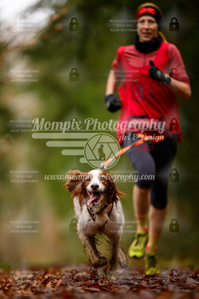 MompixPhotography_2SSTSSBW_2025_SO_Canicross-50 | PayLife