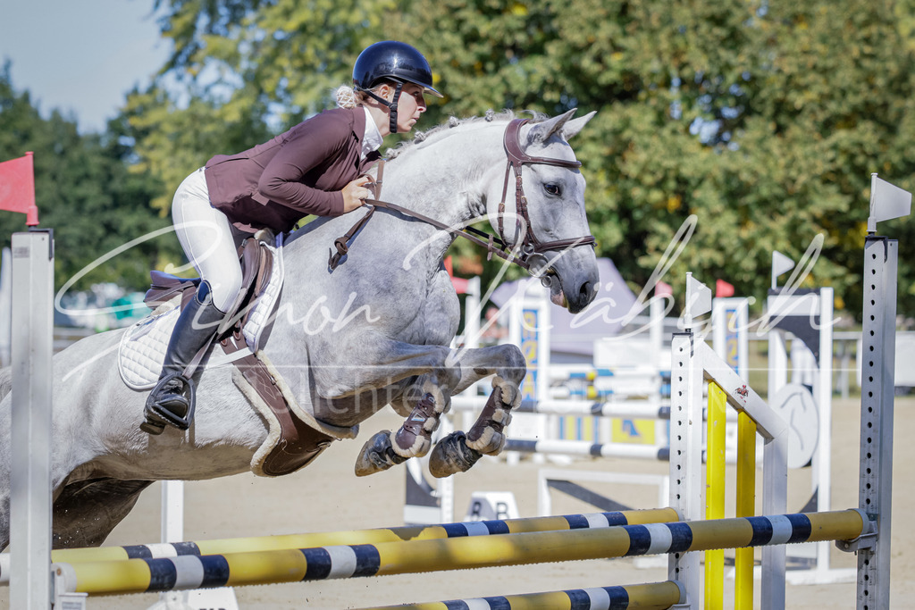 20250906-_3LI3741 | Tierfotografie Pferde, Hunde, Katzen, Haustiere.
Turnierfotografie Reitturniere, Reiten, Springreiten, Dressur in Hanau, dem Main-Kinzig-Kreis und dem Rhein-Main- Gebiet um Frankfurt
