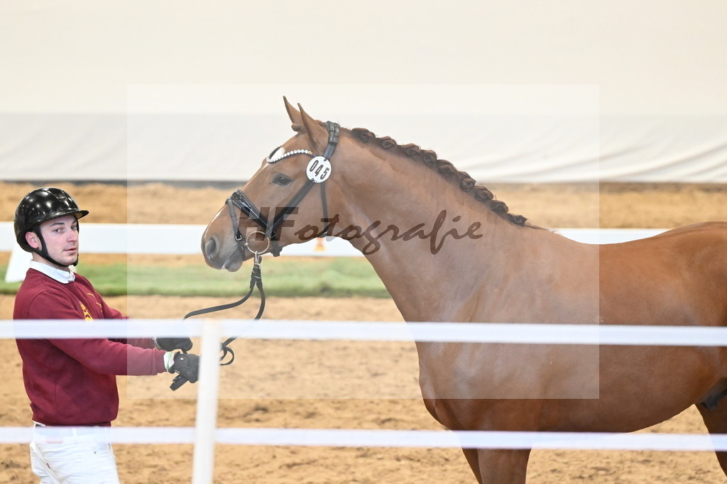 Kat.-Nr. 45 v. Escanto PS_De Vittorio und Stechele_3260367 | hf-fotografie - Realizzato con Pictrs.com