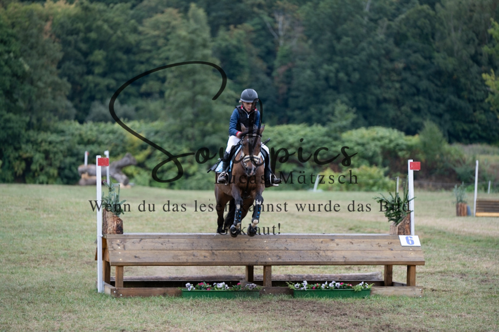 A7V00290 | Pferdefotograf