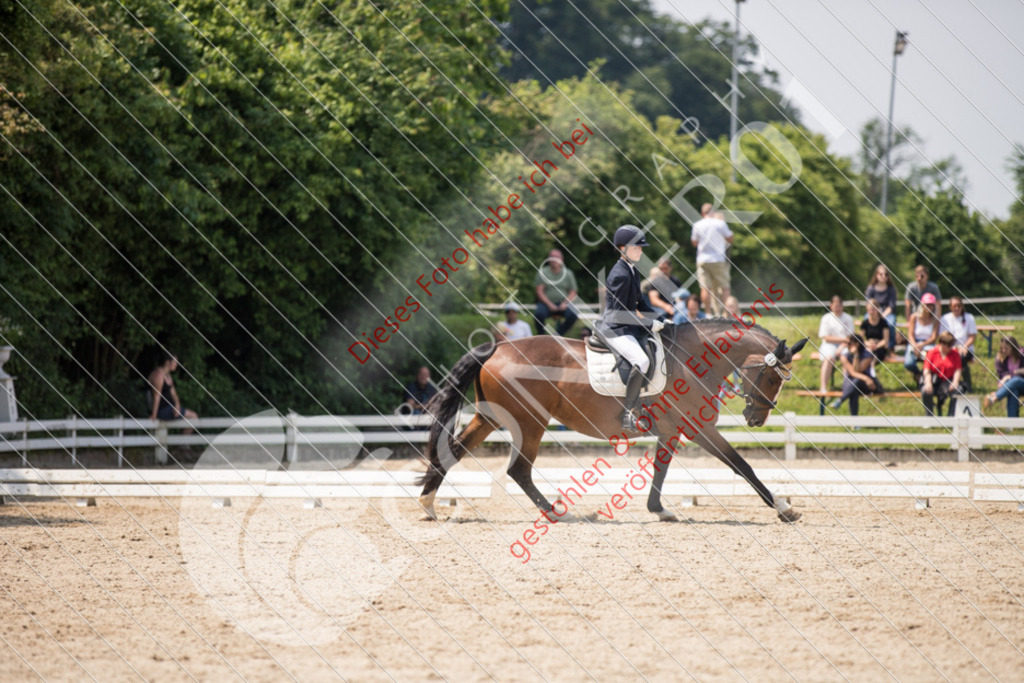 IMG_3847 | Sport-, Event- und Tierfotos in Profiqualität. Einfach auswählen, bestellen und herunterladen. Dein Moment – perfekt festgehalten.