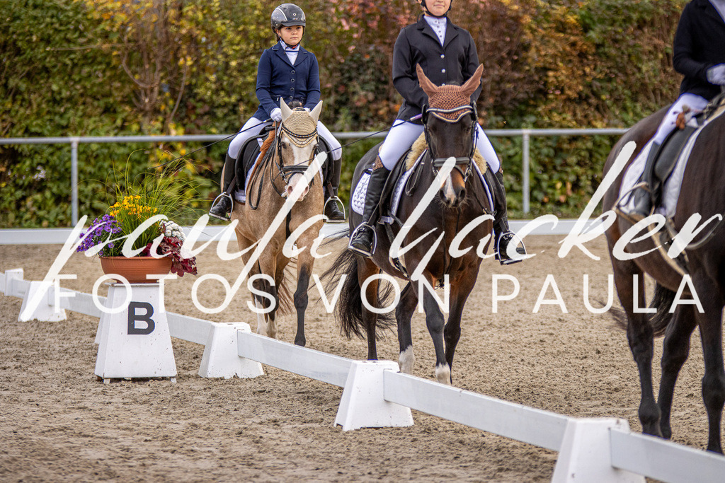 IMG_3552 | Erleben Sie dynamische Sport- und emotionale Tierfotografie in Süddeutschland mit Fotos von Paula. Spezialisiert auf Pferde- und Hundefotografie sowie Sportevents. Kontaktieren Sie mich für einzigartige und ausdrucksstarke Bilder Ihrer besonderen Momente. - Realisiert mit Pictrs.com