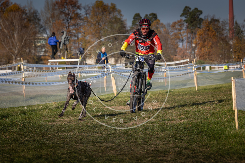 CaniXpix_0L8A7550 | Hundefotografie, Tierfotograf, Pfotenfotografie, Fotoshooting Hund, Hunde Portrait, Hundesport, Hundeportraits, Heideshooting, Hunde, Sportfotograf, Hundefotograf, Turnierhundsport, THS,  - Realisiert mit Pictrs.com