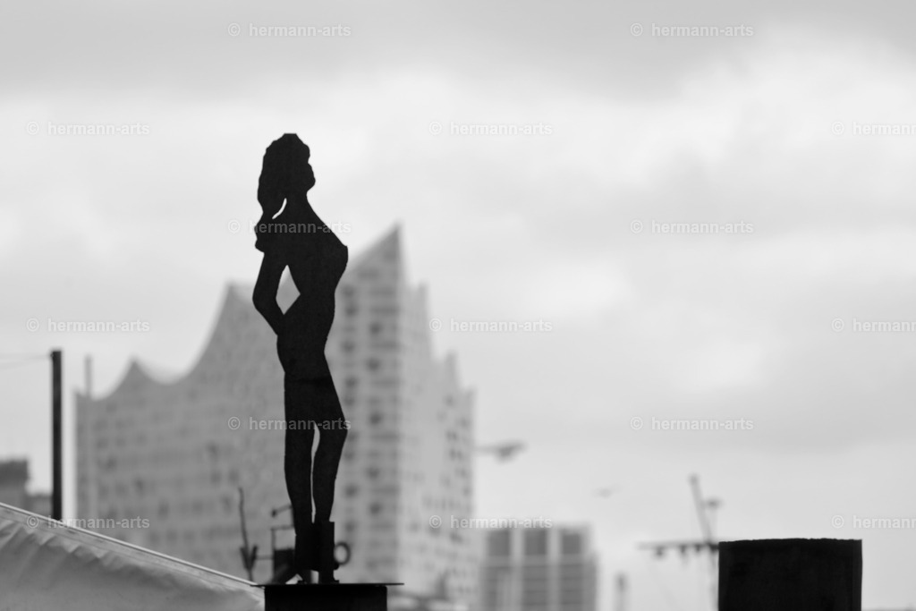 Hamurg_Arts-034 | Photo Foto Kunst Art schwarzweiss Bilder Rheine Münster Berlin Blumen 