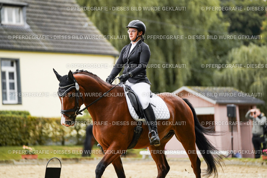 DSC07128 | Pferdegrafie