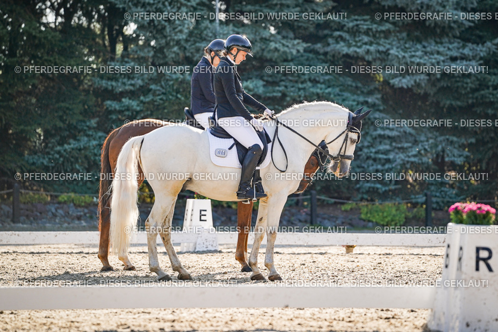 DSC08654 | Pferdegrafie