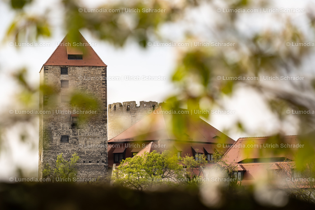 10049-12447 - Burg Querfurt - Sachsen-Anhalt | Stockfoto und Bilderpool mit Bildmaterial aus Deutschland, dem Harz, Halberstadt, Quedlinburg, Wernigerode und weltweit. Qualitativ hochwertige und professionelle Fotos anschauen und kaufen. - Realisiert mit Pictrs.com