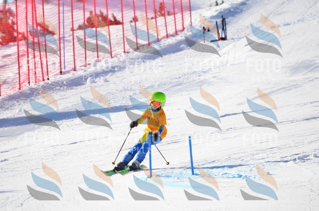 C6152 | holidayphoto