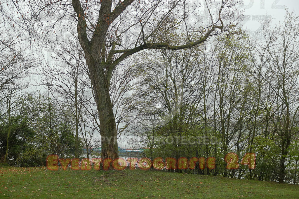 220331_1814_EX2_8939 | Sport- und Eventfotografie