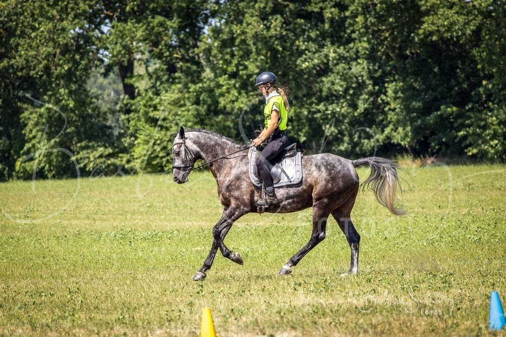 CJP_2026-06-26_88 | Stimmungsvolle Fotografie von Pferden, fotografische Begleitung von Veranstaltungen, Golfturnieren und Distanzritten - Realisiert mit Pictrs.com