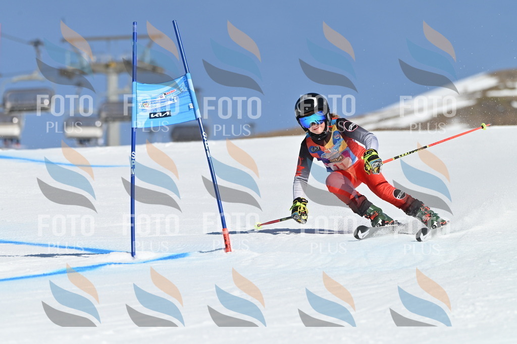 BGV_7778 | holidayphoto