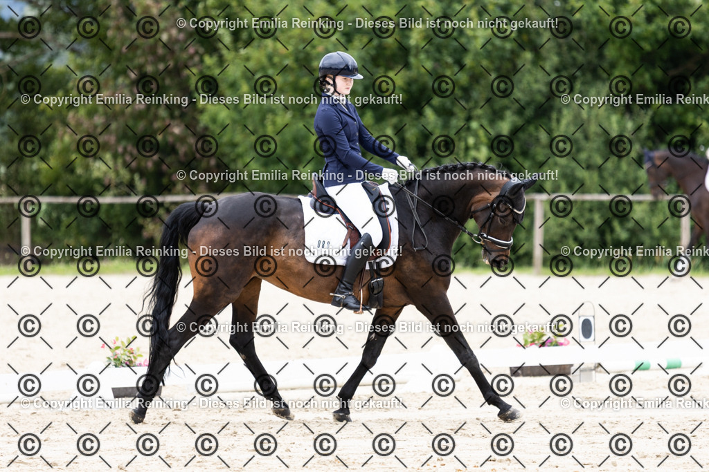 CL5A3312 | Emilia Reinking Fotografie - Realisiert mit Pictrs.com