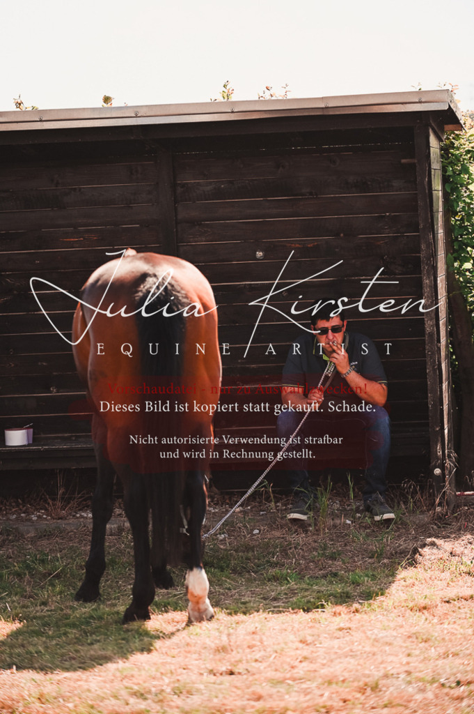 DSC_7332 | Pferde- und Turnierfotografie in Westsachsen. Pferdeportraits, Auftragszeichnungen und intuitive Kunst.