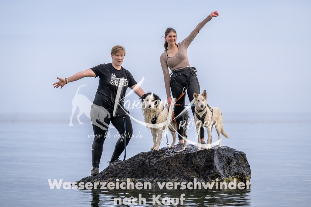 1209_ZZ94985 | kk-dogfotos