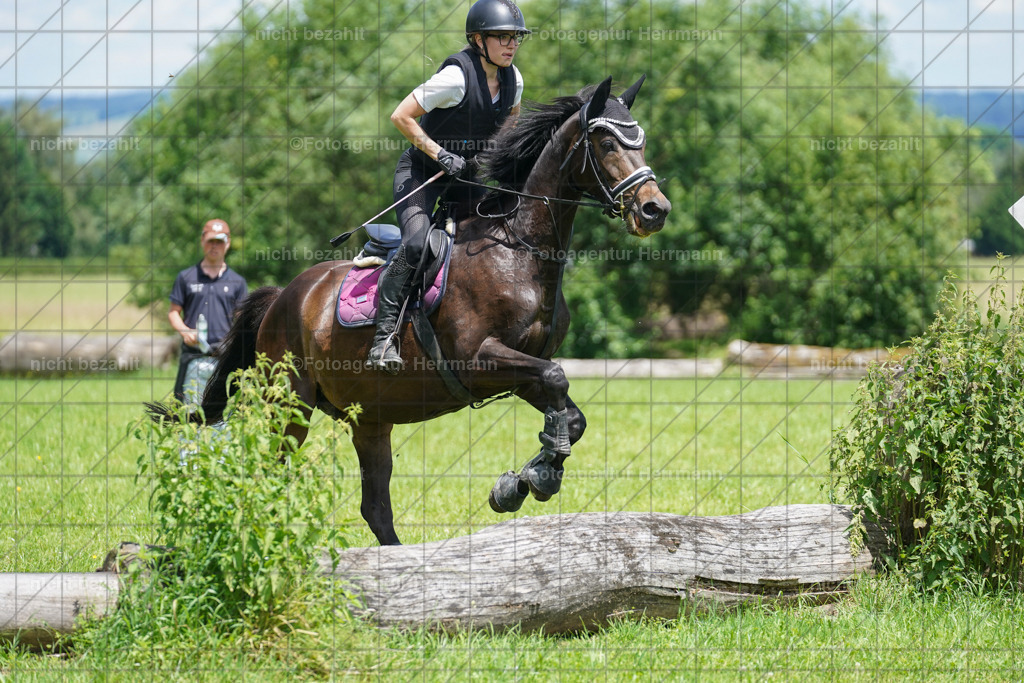 20240622-FAH07277 | Turnierfotografen Bayern, Reitsportbilder aus dem Geländekurs mit Felix Etzel auf dem Gut Waitzacker 2024