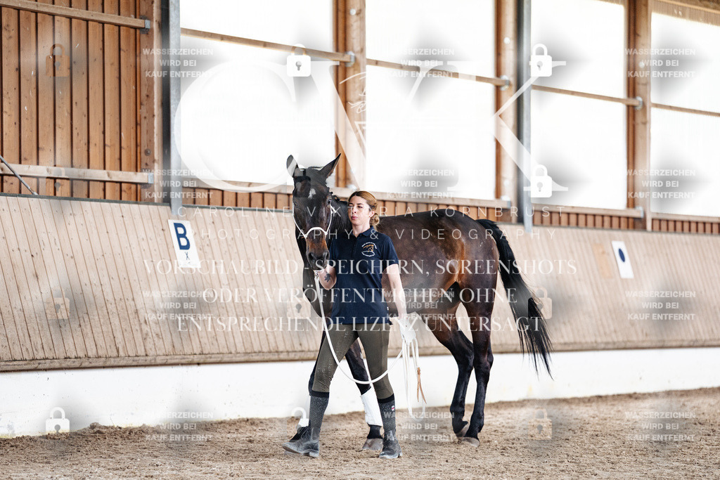 CK908104 | Turnierfotografie Pferdefotografie Trier Rheinland-Pfalz Pferdesport Reitsport Tierfotografie Sportfotografie Pferdevideo Pferdevideografie Equestrianvideography equestrianphotography  - Realisiert mit Pictrs.com
