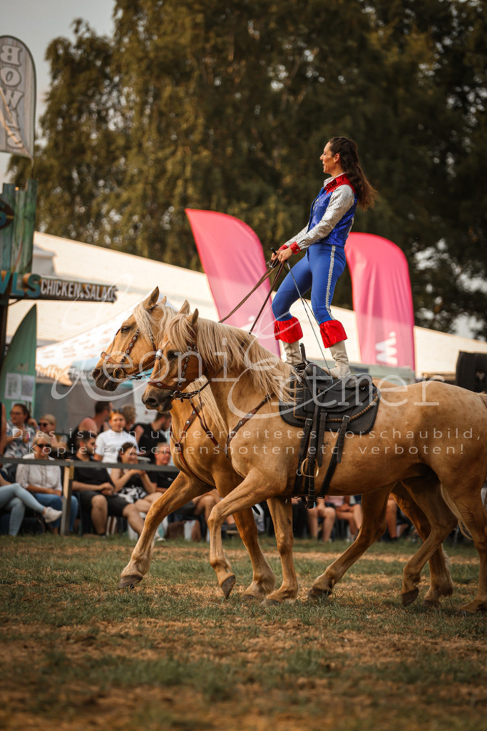 SaShow00025 | Leoni Ertmer Photography - Realisiert mit Pictrs.com