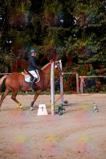 2026_10_03_Siefer-Hof_144624_Z81_22204297 | Professionelle Reitsport-, Turnier- und Eventfotografie von Robert Broda. Galerien mit ausgewählten und bearbeiteten Bildern direkt online ansehen und bestellen.