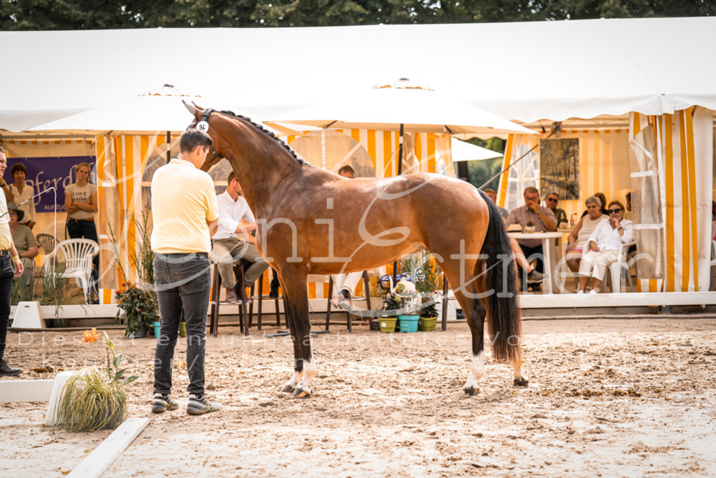 6.Fr00133 | Leoni Ertmer Photography - Realisiert mit Pictrs.com