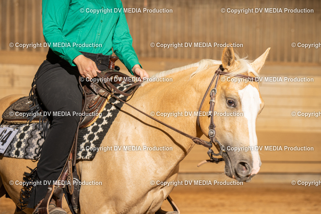 NID03681 | dv-media-shop - Realisiert mit Pictrs.com