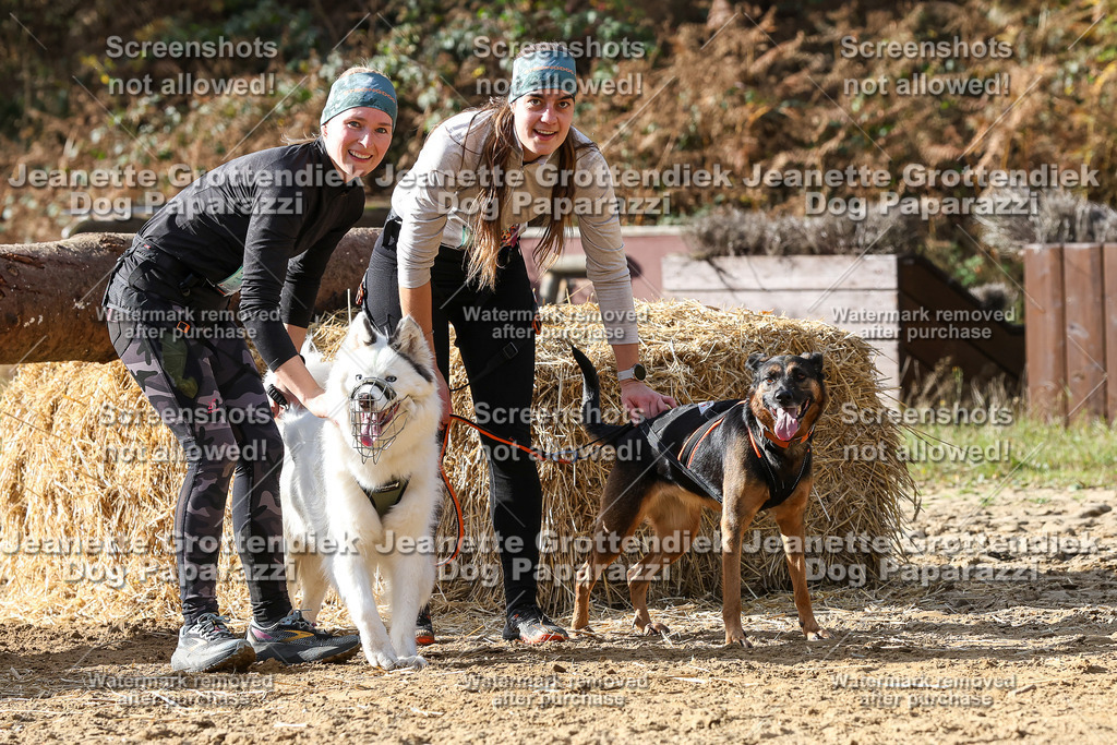 Dog Paparazzi - Strongdog 10-25-5669 | Dog Paparazzi Jeanette Grottendiek Fotografie & Videografie - Realisiert mit Pictrs.com