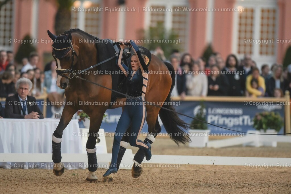 20230527_Voltigieren_NASPA_Flutlicht_0262 | equistock