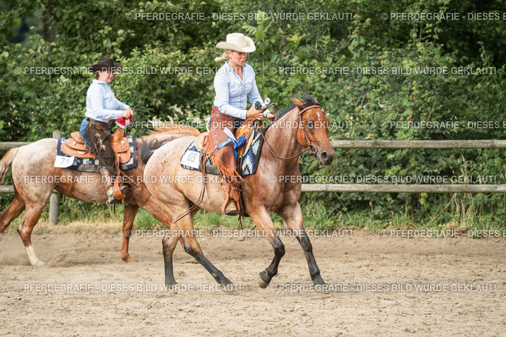 DSC04650 | Pferdegrafie