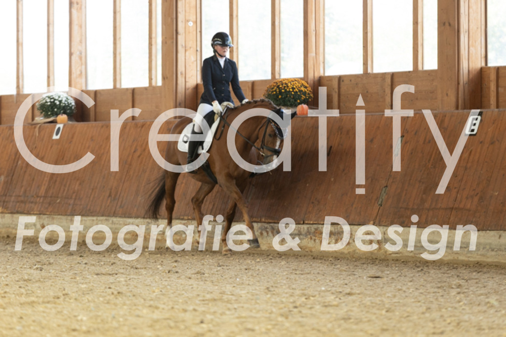 IMG_1161 | Creatify Fotografie