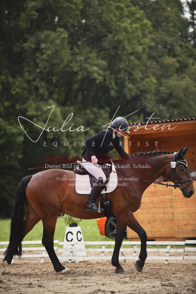DSC_0799 | Pferde- und Turnierfotografie in Westsachsen. Pferdeportraits, Auftragszeichnungen und intuitive Kunst.