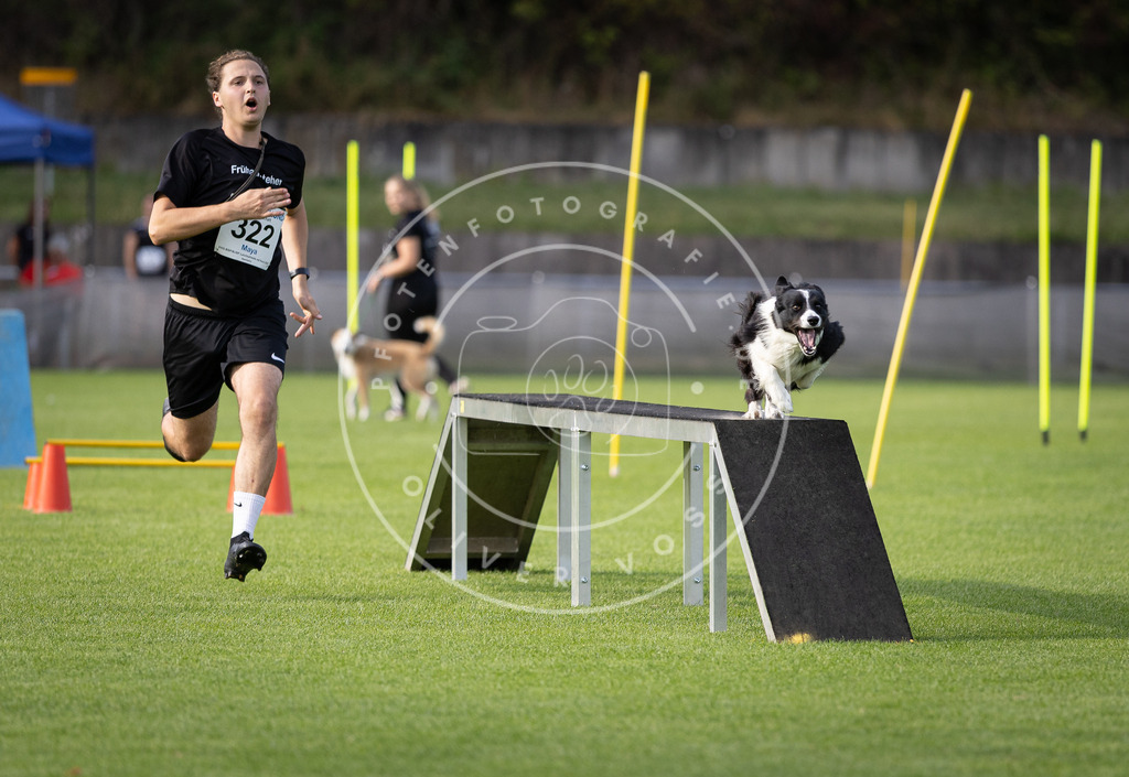 Pfotenfotografie_DV3A3040 | Hundefotografie, Tierfotograf, Pfotenfotografie, Fotoshooting Hund, Hunde Portrait, Hundesport, Hundeportraits, Heideshooting, Hunde, Sportfotograf, Hundefotograf, Turnierhundsport, THS,  - Realisiert mit Pictrs.com